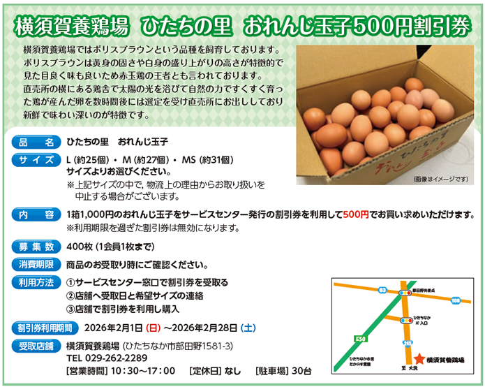 ���{��{�{�� �Ђ����̗� ����񂶋ʎq500�~������