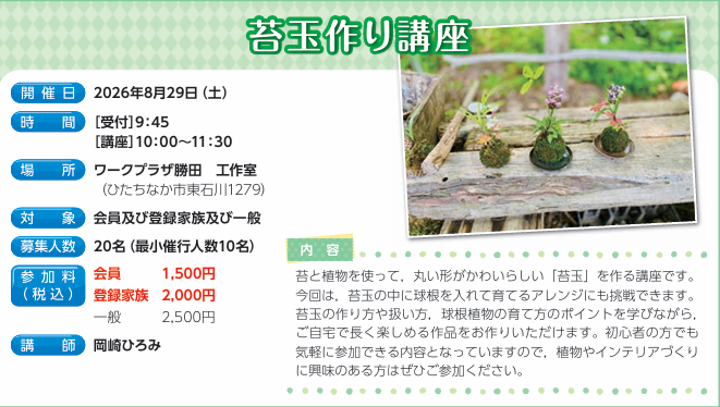 苔玉作り講座
