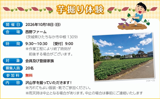芋掘り体験